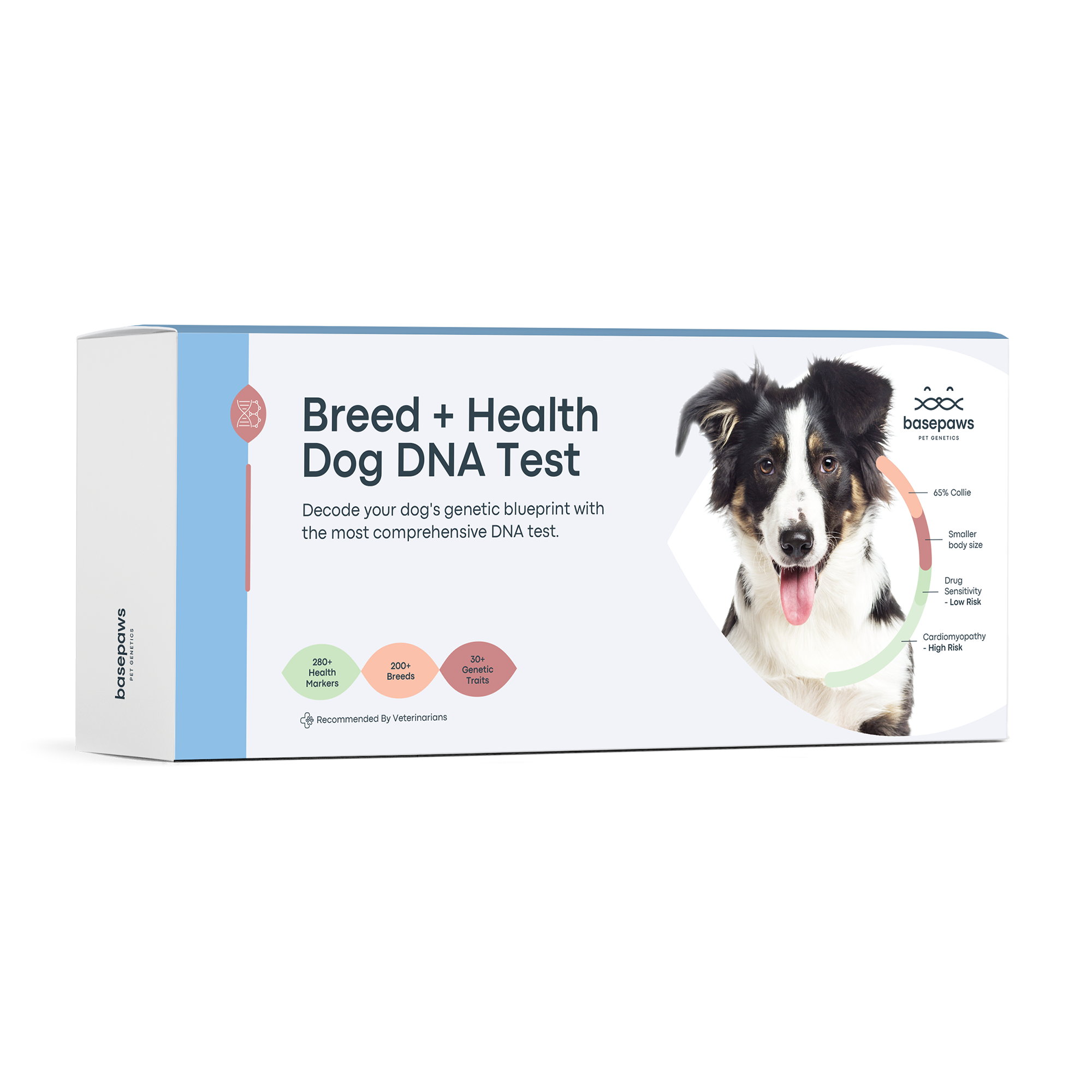 10 Dog DNA Tests